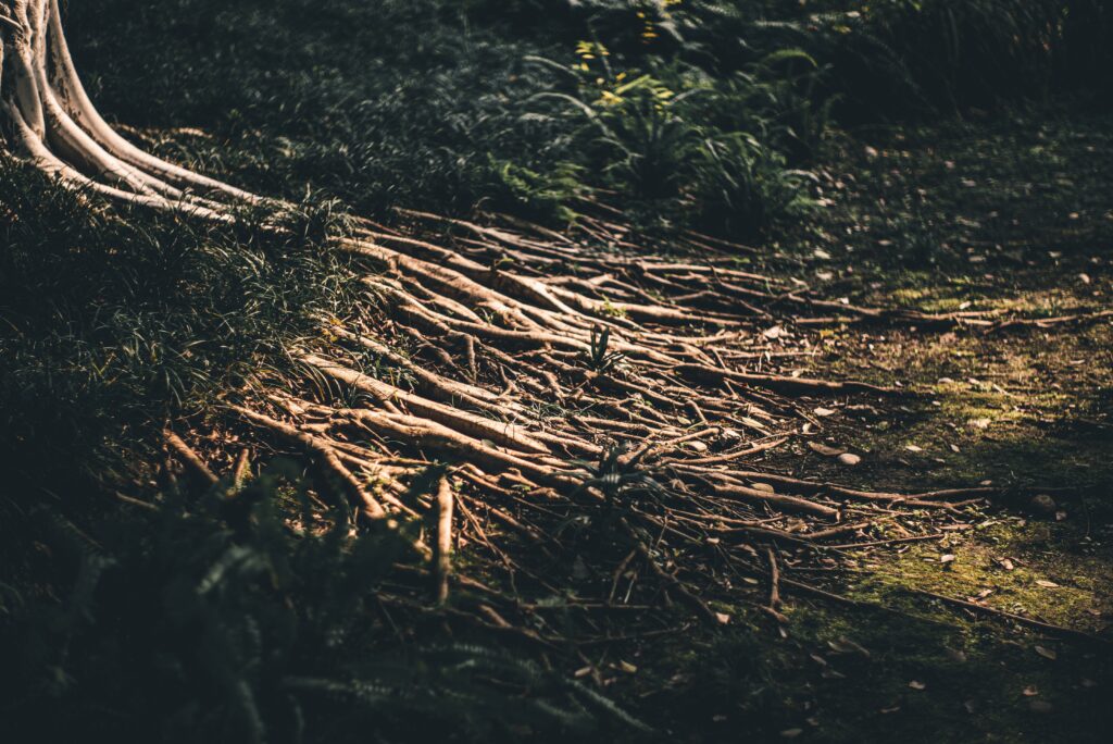 Credit Shu Quian on UnSplash.com.